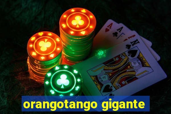 orangotango gigante